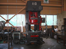 gNvX110